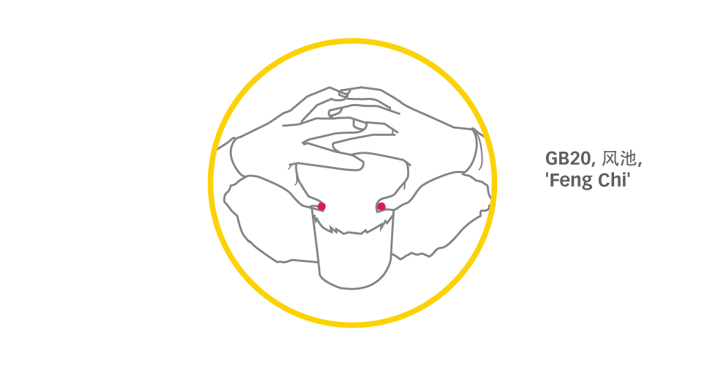 Eye-Exercise1
