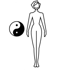 graphic of body consitution 