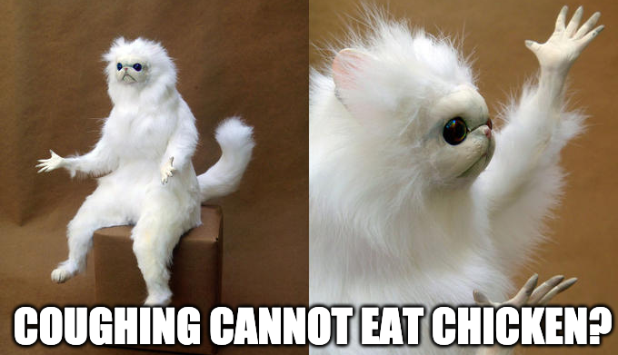 Coughing cannot eat chicken?