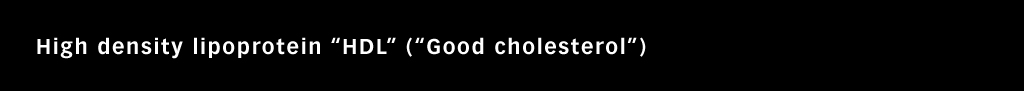 Managing_Cholesterol_with_TCM_3