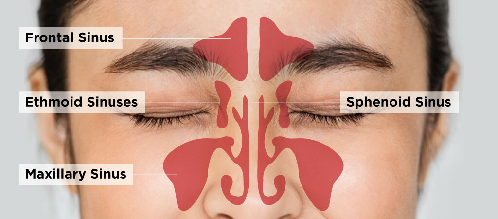 Blog-Sinus-2