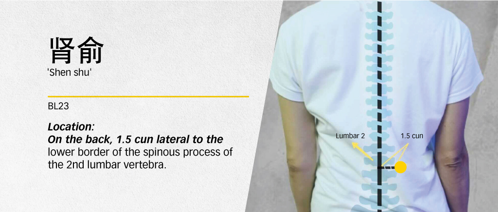 Massage your lower back using your knuckles downwards. Repeat 10 times a day. Alternatively, you can use both palms, place it on your lower back and rub continuously for 1minute so as to warm the lower back.