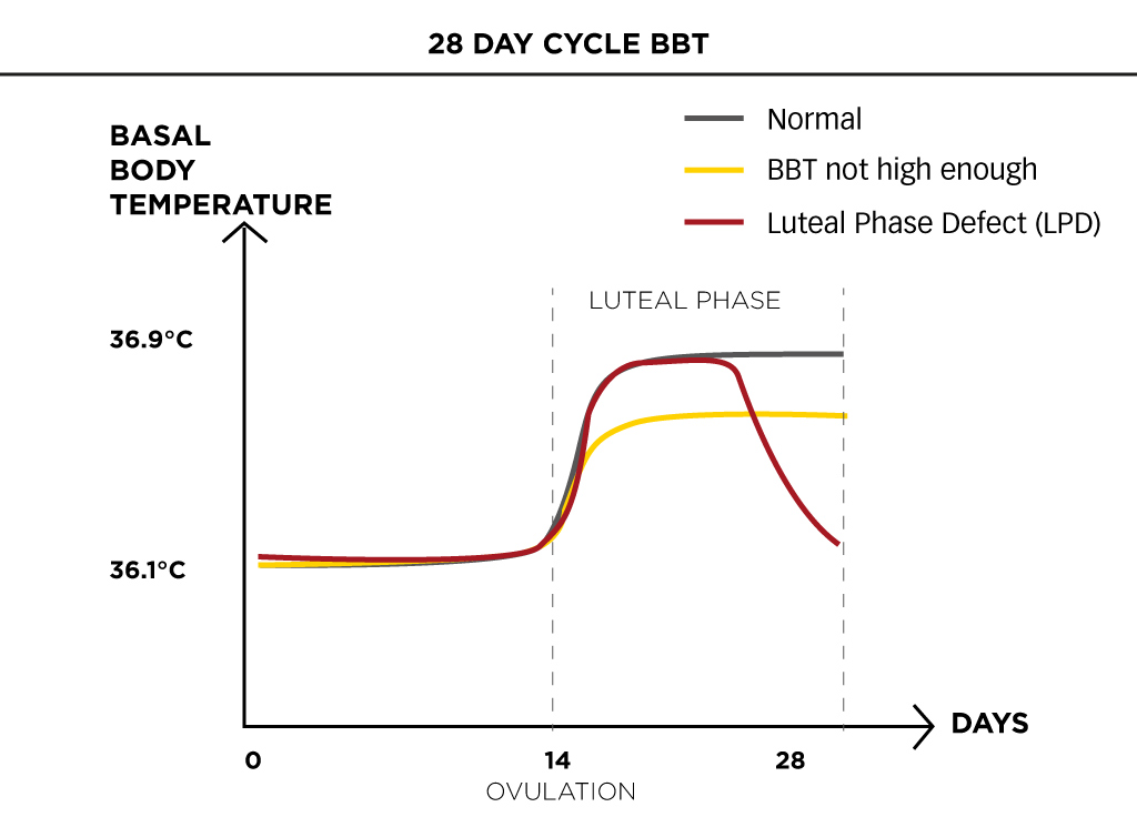 luteal phase, BBT chart