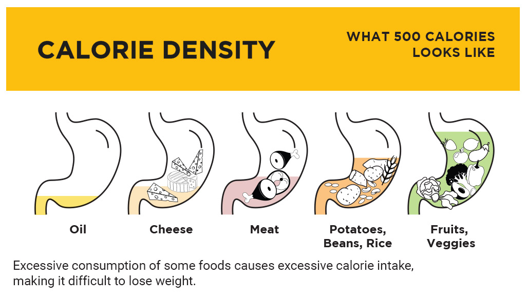 medical nutrition therapy, nutrition, diet, physician, clinical dietitian, pulse tcm, tcm in singapore