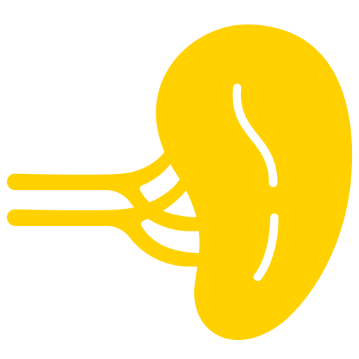 spleen graphic