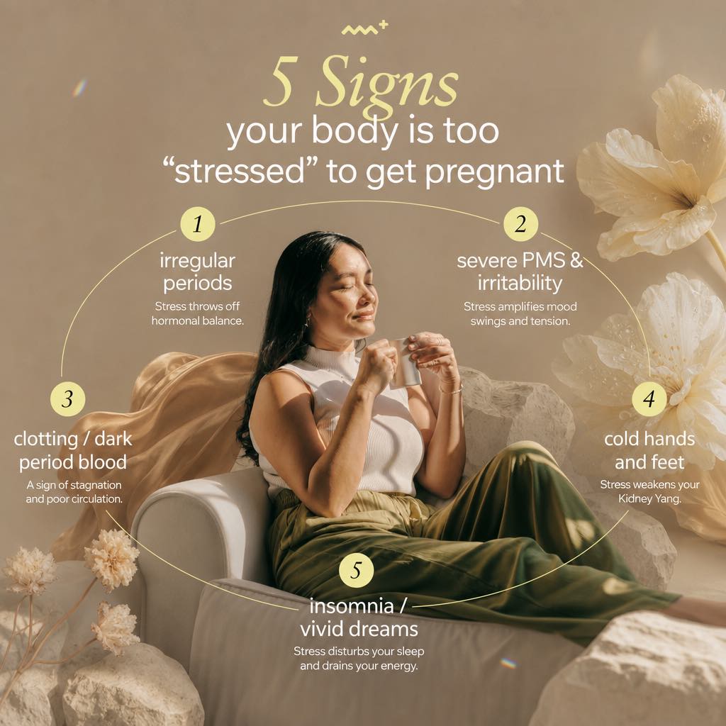 fertility-stress-warning-signs-tcm
